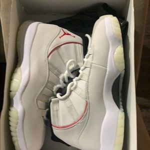 Jordan number 11 retros platinum edition